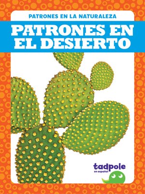 cover image of Patrones en el desierto (Patterns in the Desert)